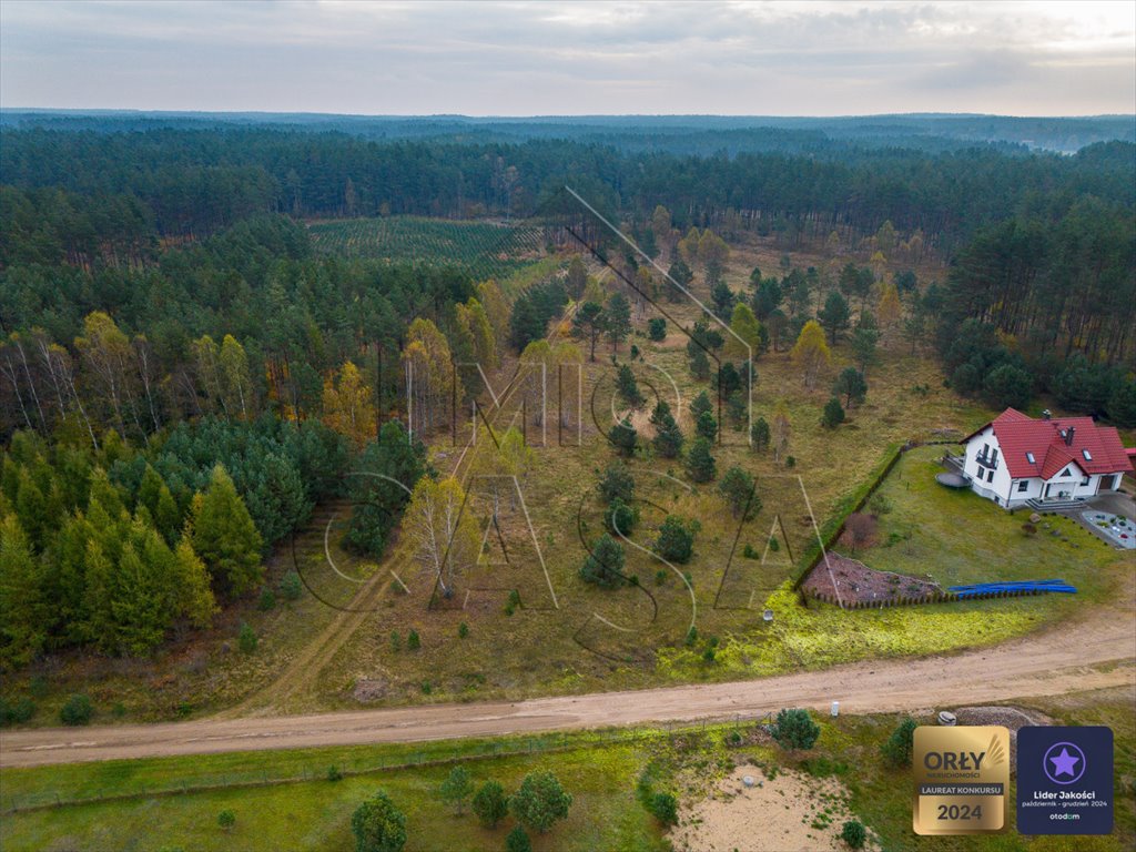Działka budowlana na sprzedaż Przewóz  42 000m2 Foto 1