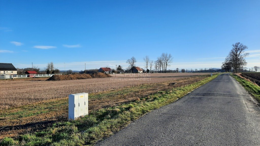 Działka budowlana na sprzedaż Żeliszów  1 304m2 Foto 2