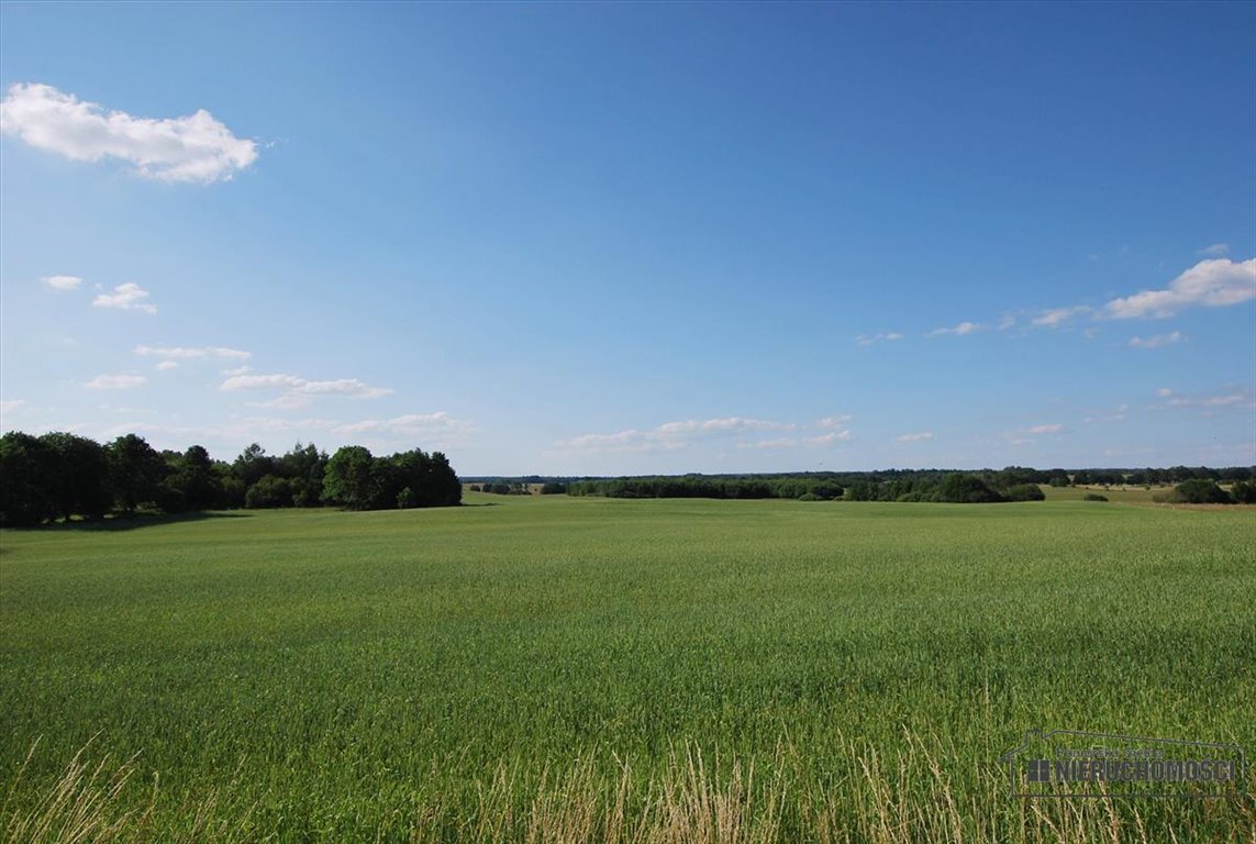 Działka inna na sprzedaż Mieszałki  139 900m2 Foto 9