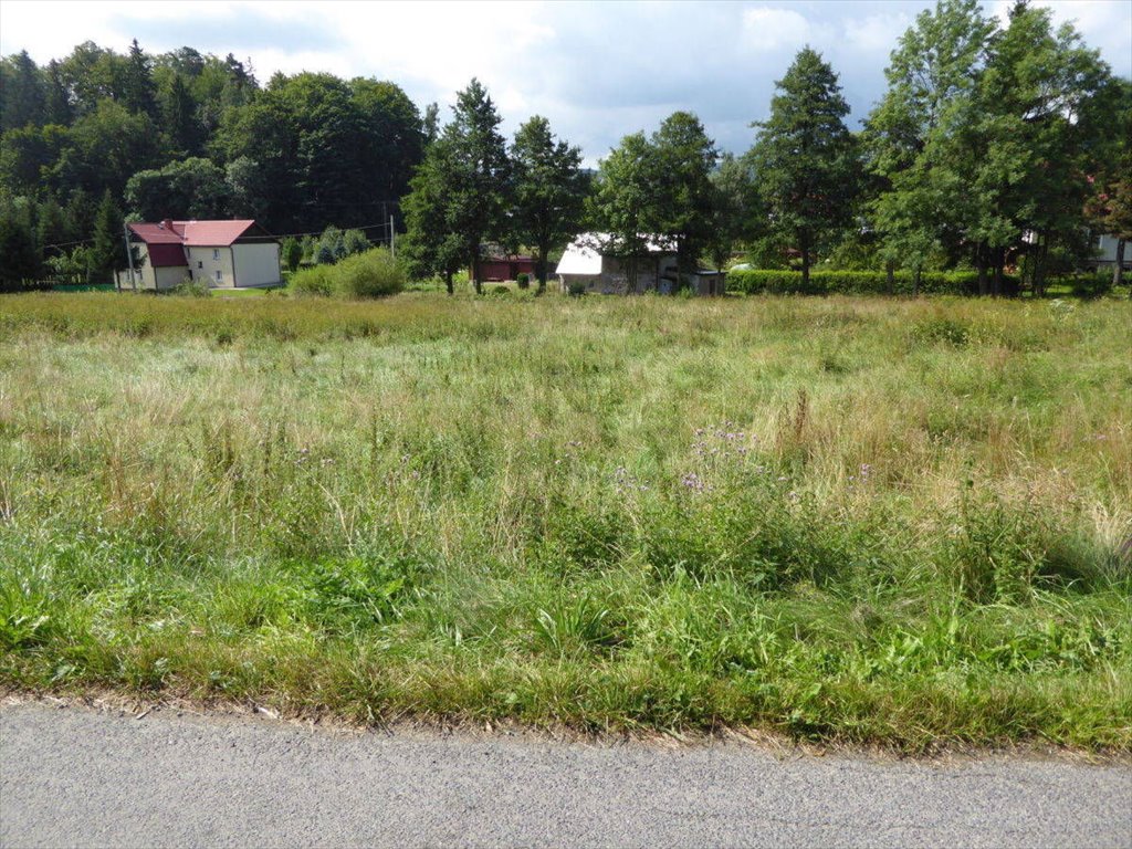 Działka 4327 m² z lasem i strumykiem w Leszczyncu zapraszam Leszczyniec  4 327m2 Foto 1