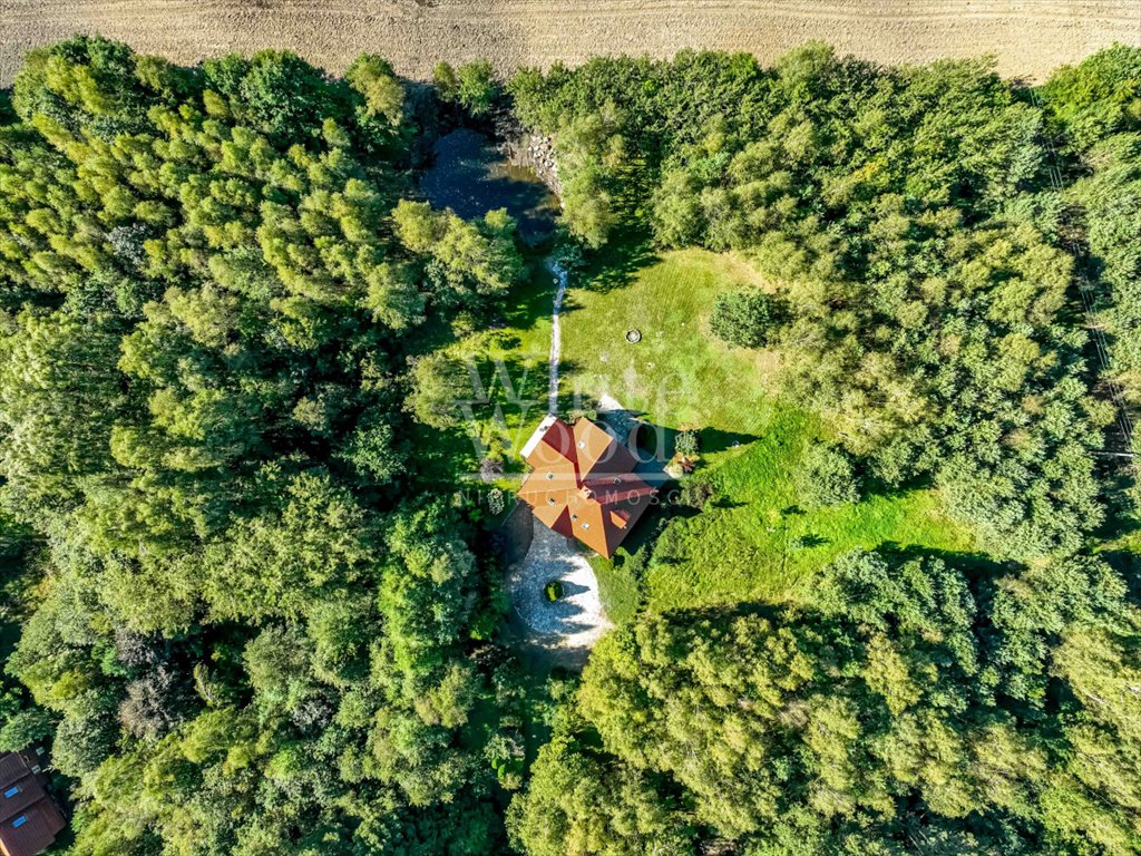 Działka siedliskowa na sprzedaż Przodkowo  11 896m2 Foto 9