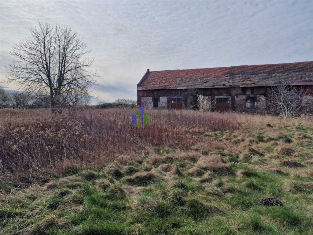 Działka budowlana na sprzedaż Jeszkowice  5 046m2 Foto 3