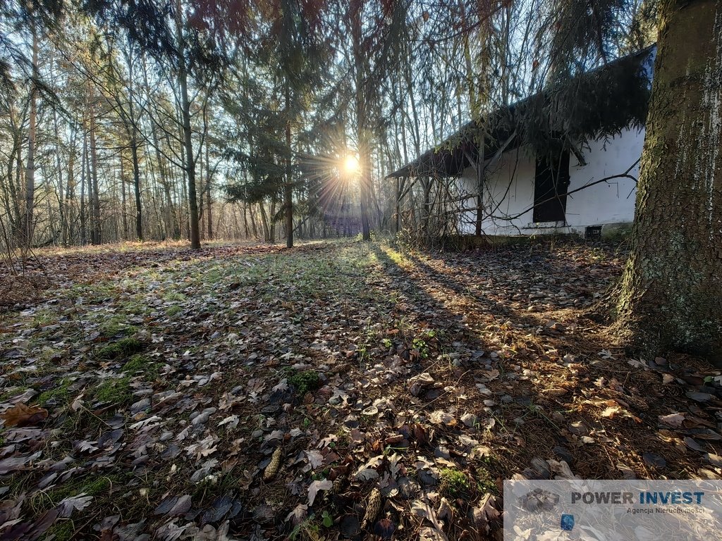 Działka budowlana na sprzedaż Grabce Józefpolskie  5 000m2 Foto 1