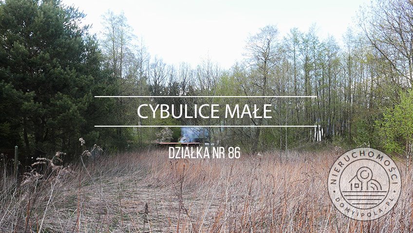 Urokliwa działka 2500 m2 z dostępem do Kampinoskiego Parku Cybulice Małe  2 500m2 Foto 1