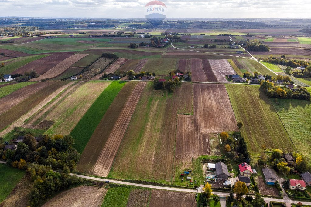 Działka budowlana na sprzedaż Krępa  2 600m2 Foto 4