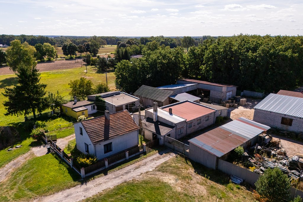 Działka 5 ha z budynkami i produkcją, Dalików Dalików  4 967m2 Foto 1
