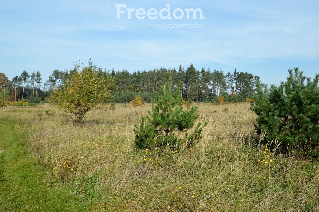 Działka budowlana na sprzedaż Siedliska  735m2 Foto 2