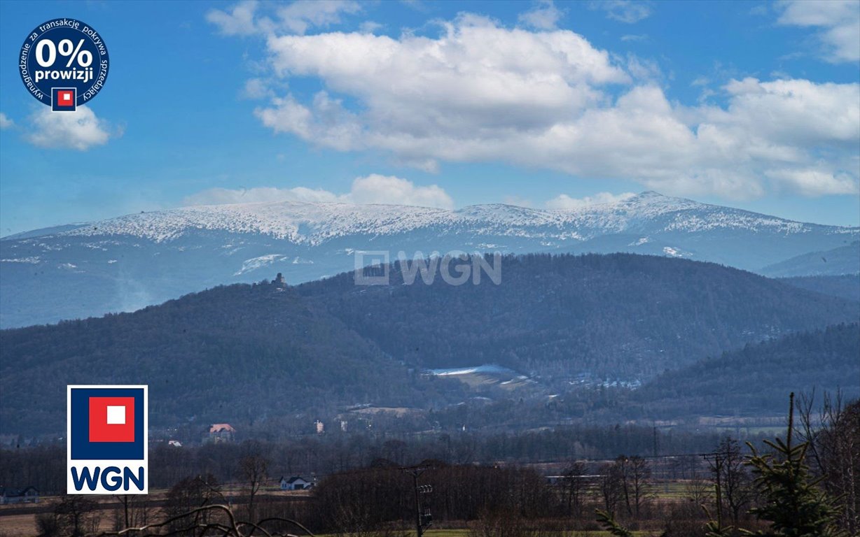 Lokal użytkowy na sprzedaż Wojcieszyce, Wojcieszyce  1 567m2 Foto 13