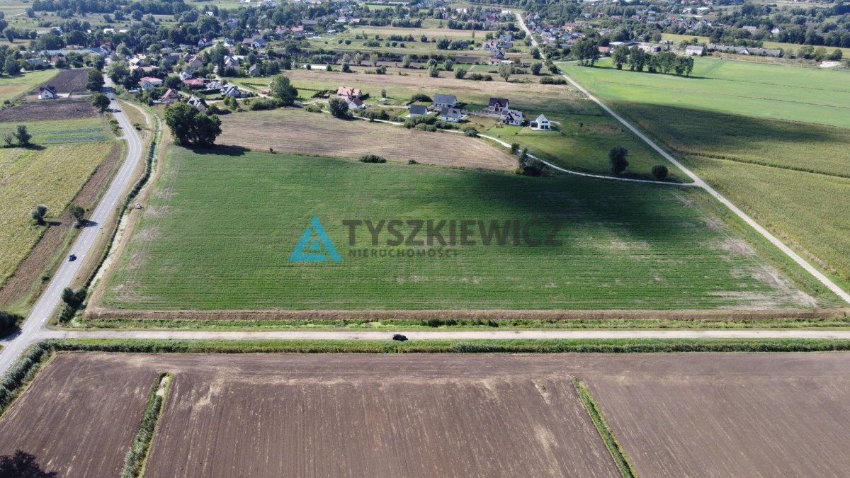 Działka rolna na sprzedaż Rokitnica, Ogrodowa  4 262m2 Foto 3