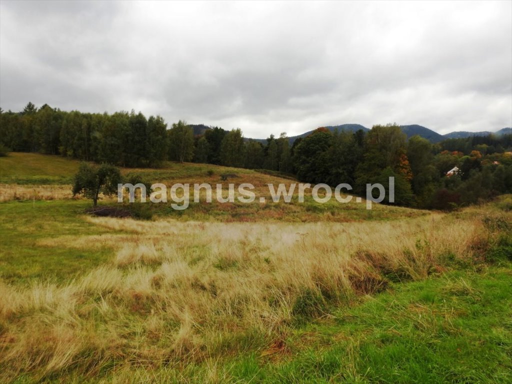 Działka budowlana na sprzedaż Jedlina-Zdrój, Kościelna  1 499m2 Foto 6