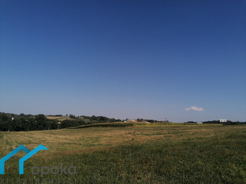 Działka usługowa 10 052 m² z dostępem do mediów Łączka  10 052m2 Foto 1