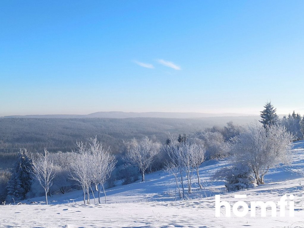Działka budowlana na sprzedaż Duszniki-Zdrój, Zieleniec, Zieleniec  4 300m2 Foto 1