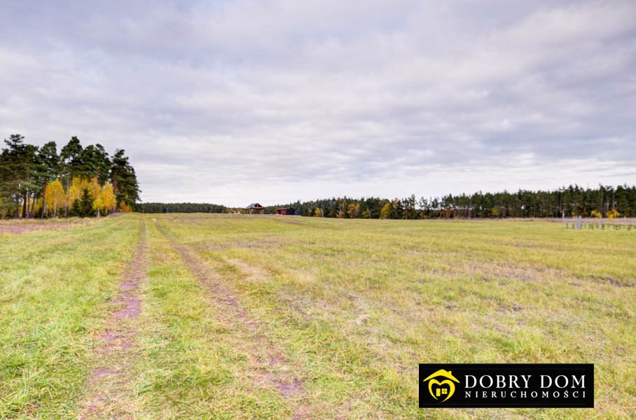 Działka budowlana na sprzedaż Danowskie  1 001m2 Foto 7