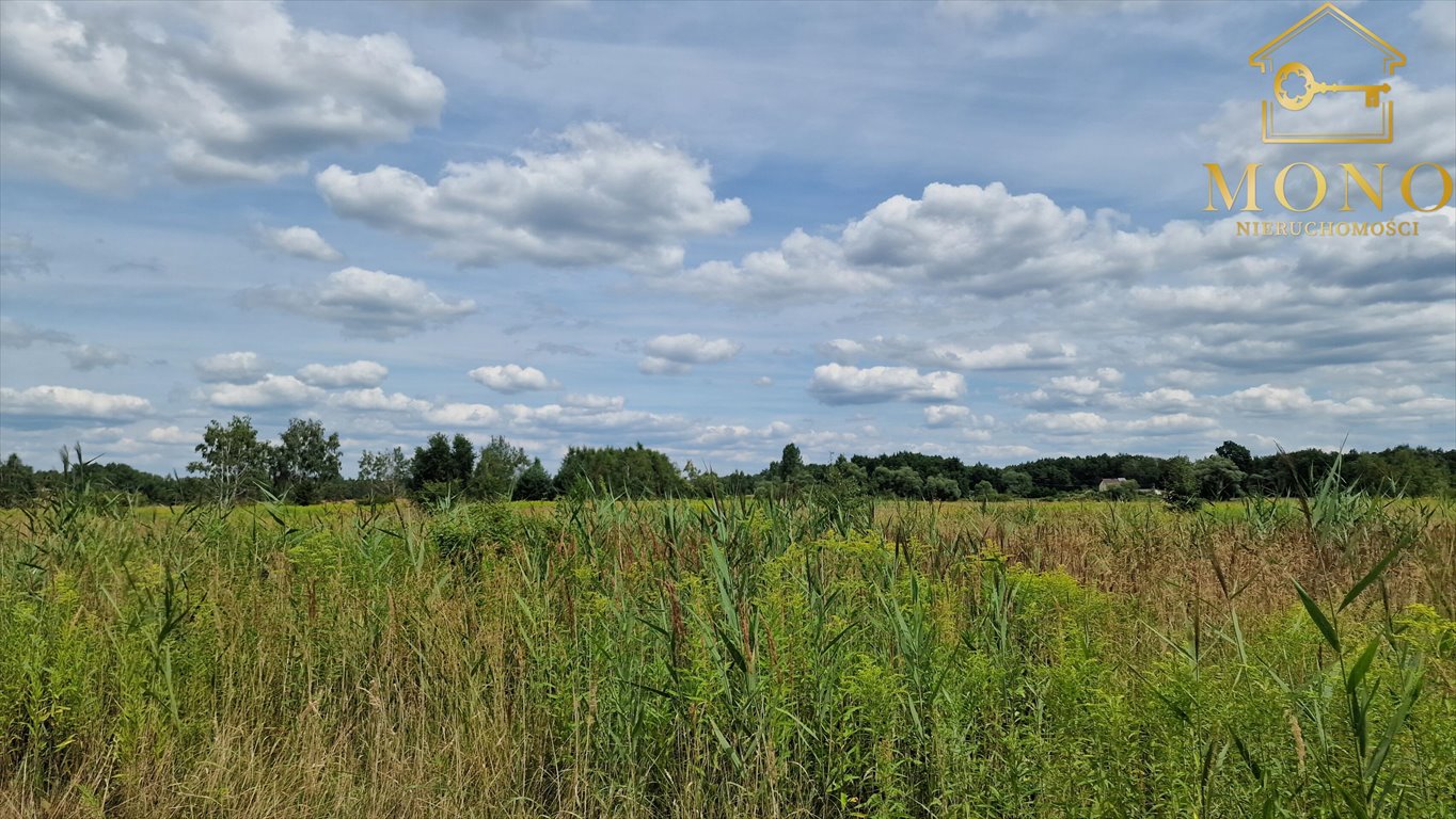 Działka budowlana na sprzedaż Piasek Wielki  26 800m2 Foto 9