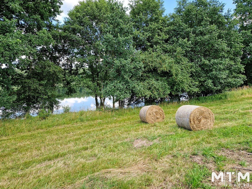 Działka rolna na sprzedaż Dolice  3 003m2 Foto 8