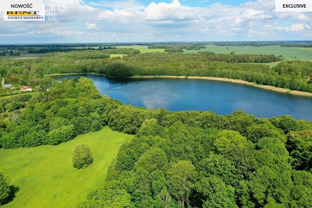 Działka budowlana na sprzedaż Parlino  1 150m2 Foto 6