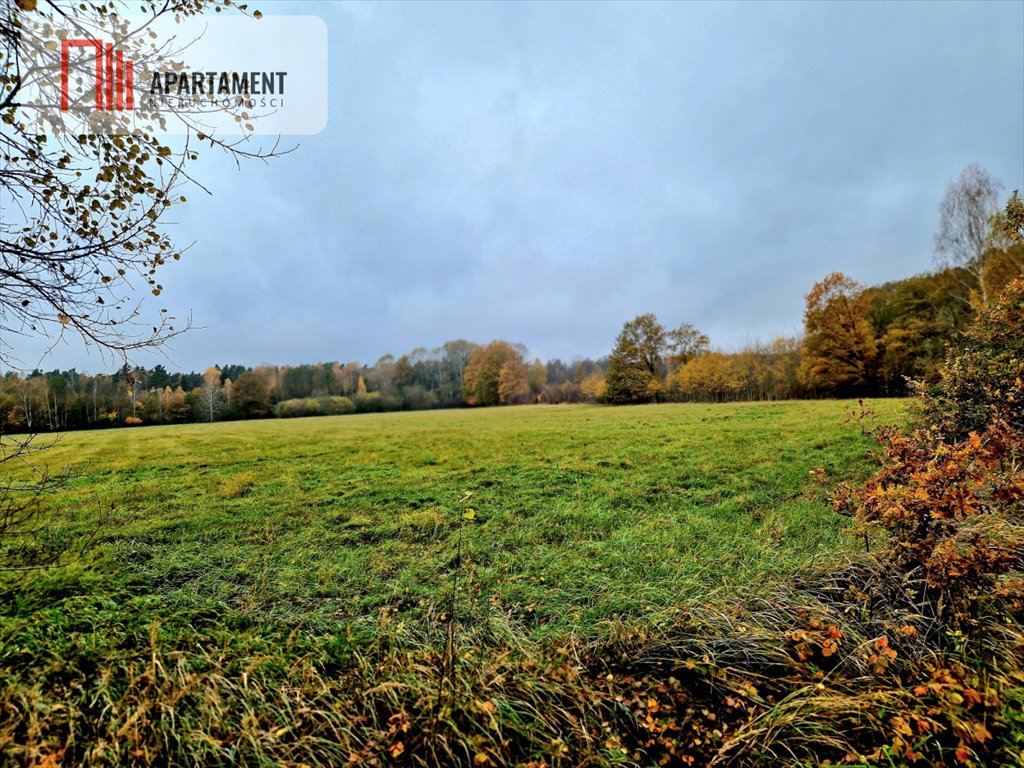 Działka budowlana na sprzedaż Raszówka  100 000m2 Foto 1