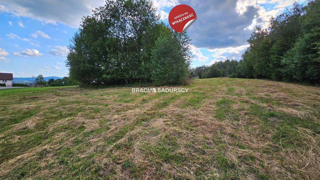 Działka budowlana na sprzedaż Połom Duży  3 500m2 Foto 19