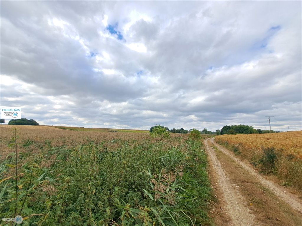 Na sprzedaż widokowa działka 3000 m² z domem w Prusach Ożarów, Prusy, Sandomierz  57m2 Foto 1
