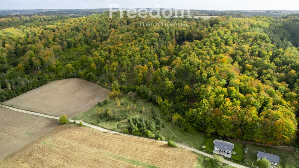 Działka budowlana na sprzedaż Klonowo Dolne, Głęboka  9 739m2 Foto 4