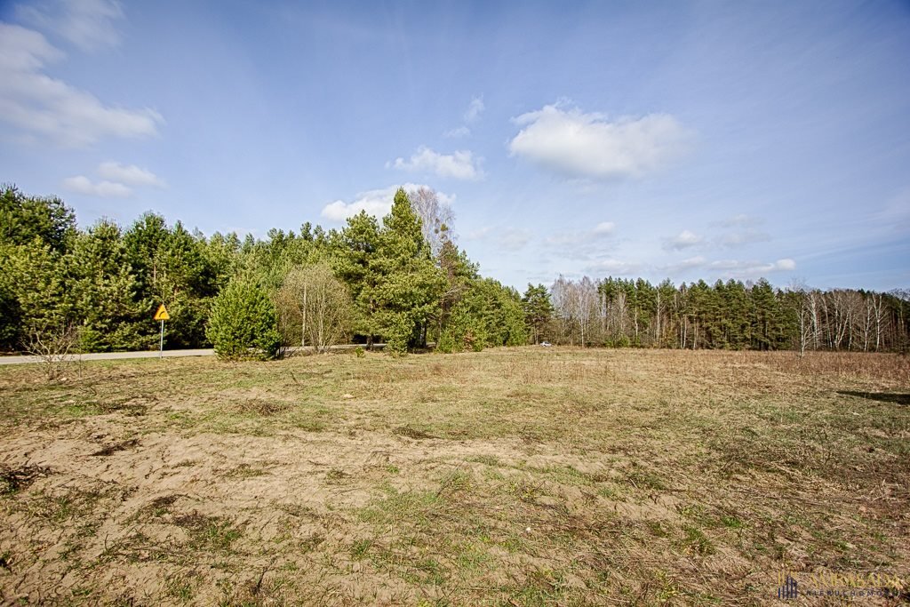 Działka inna na sprzedaż Zarzeczany  3 000m2 Foto 6