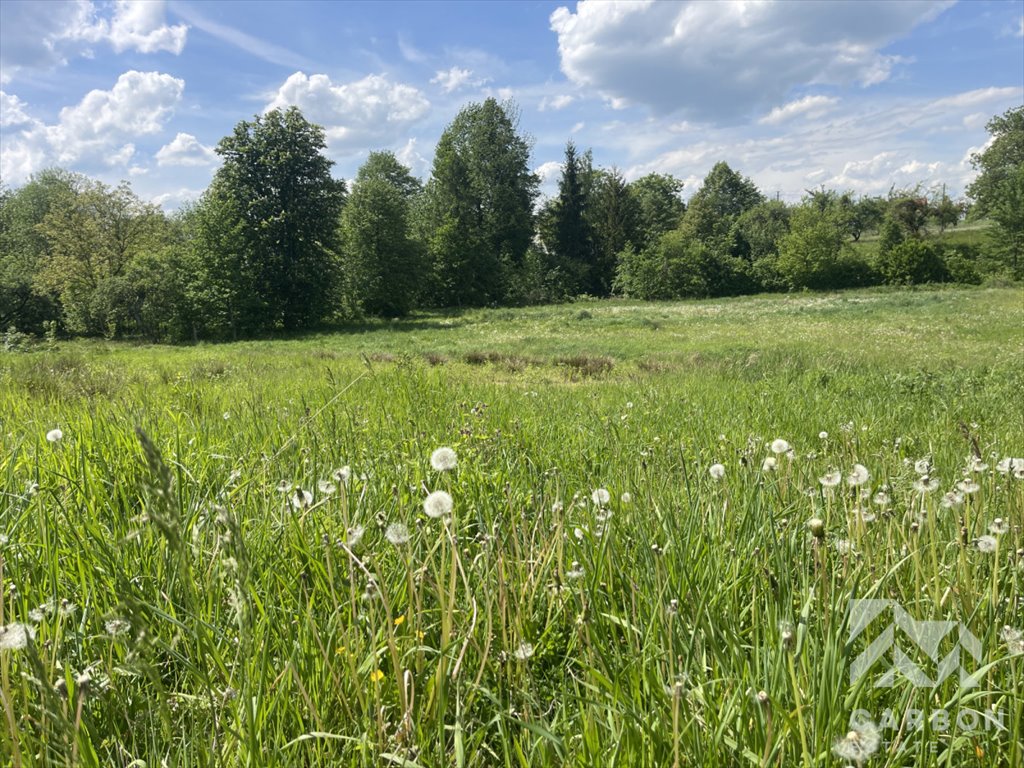 Działka budowlana na sprzedaż Ustroń, Obrzeżna  1 018m2 Foto 3