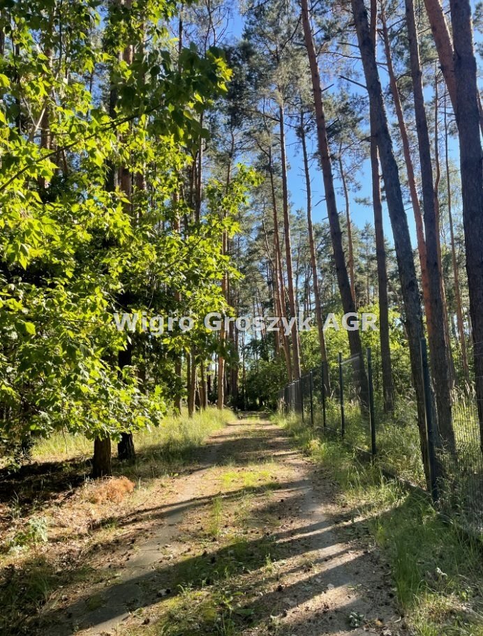 Działka inna na sprzedaż Pieńków  3 000m2 Foto 5