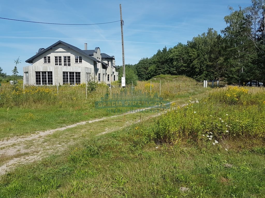 Działka budowlana na sprzedaż Sierzchów  10 000m2 Foto 2