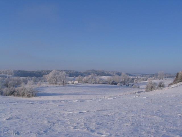 Działka budowlana na sprzedaż Olszewo  12 300m2 Foto 5