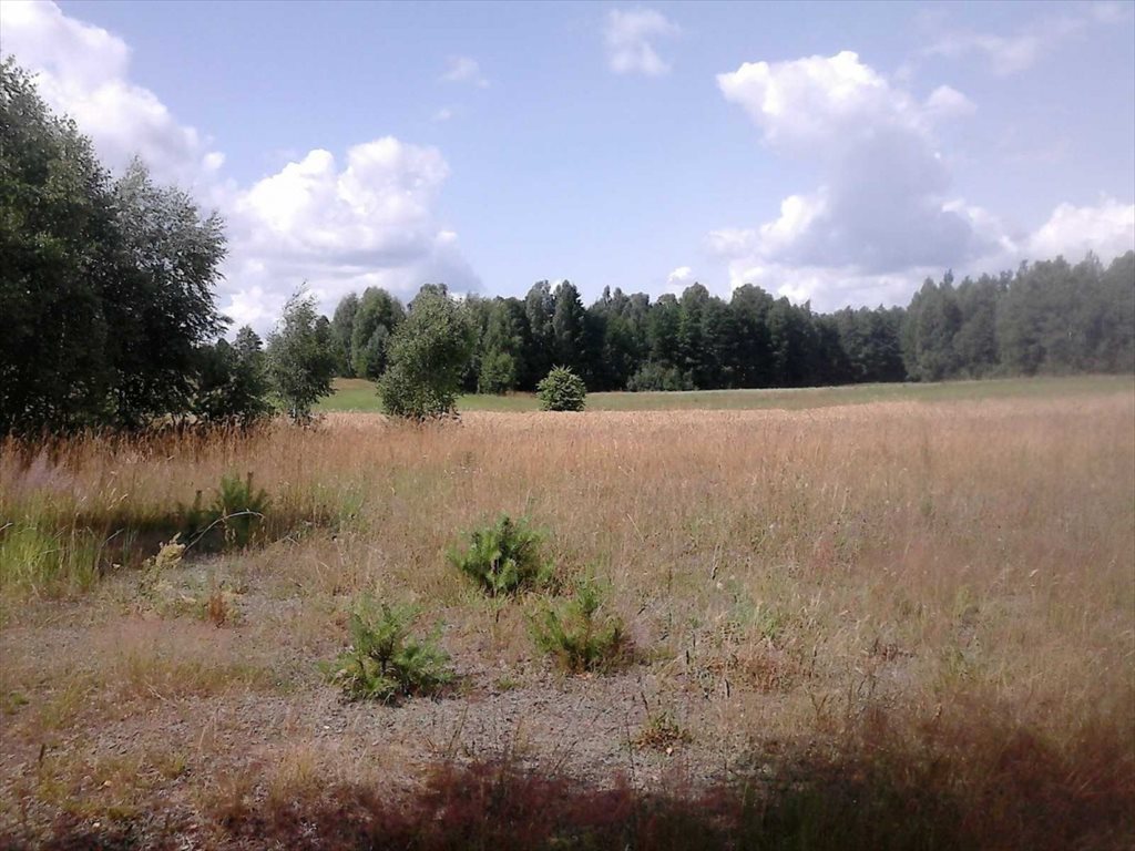 Działka budowlana na sprzedaż Pogorzelec 1 535m2 Foto 1 Działka budowlana na sprzedaż Pogorzelec 1 535m2 Foto 1