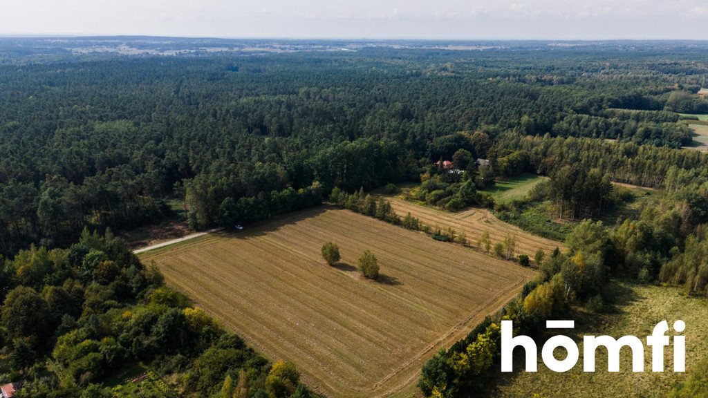 Działka budowlana na sprzedaż Makowiec, Gajowa  10 500m2 Foto 4