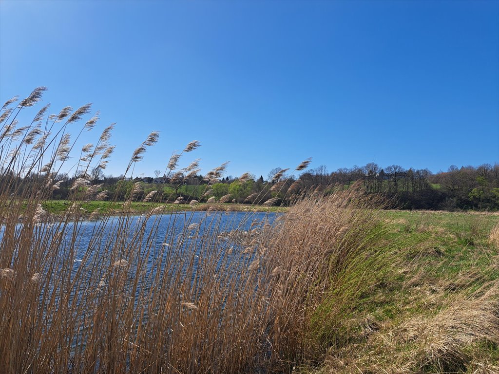 Działka rolna z możliwością rekreacji, 54 ar, Dębowiec Dębowiec  5 408m2 Foto 1