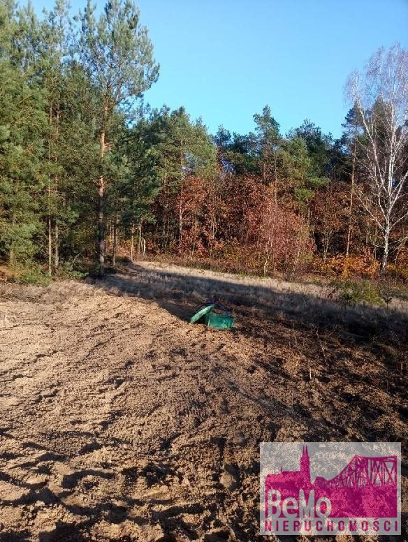 Działka budowlana 3740 m² z mediami, dojazd gruntowy Lipno, Maliszewo  3 740m2 Foto 1