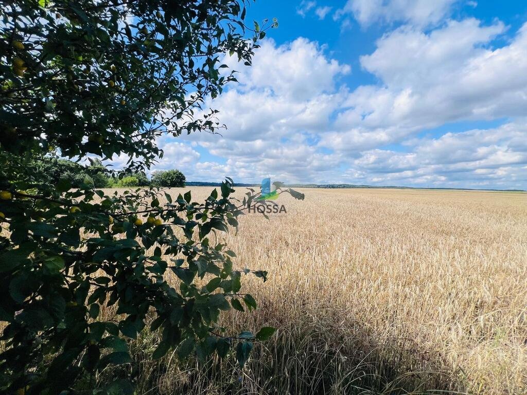 Działka budowlana na sprzedaż Radomin  15 898m2 Foto 12