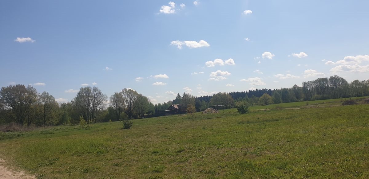 Działka budowlana na sprzedaż Józefów, Józefów gmina Dąbrówka  10 744m2 Foto 3