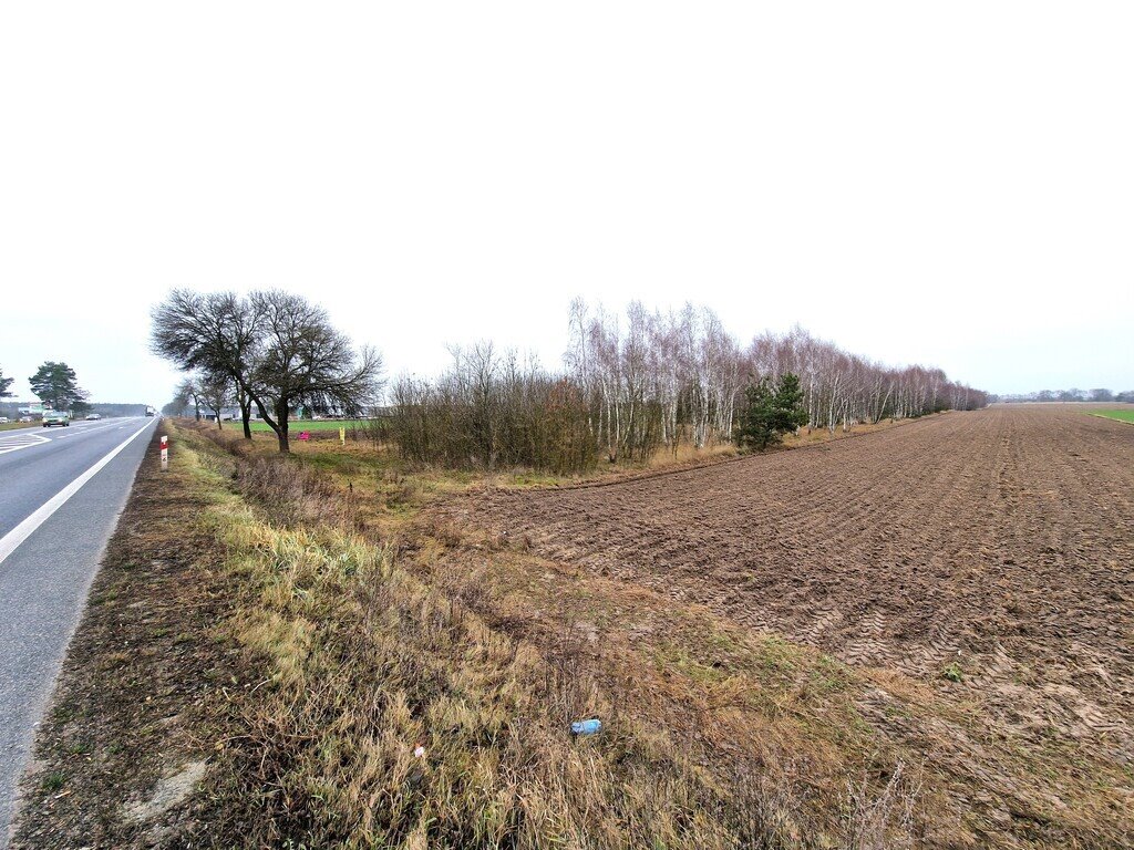 Działka komercyjna na sprzedaż Woskrzenice Duże  22 400m2 Foto 2