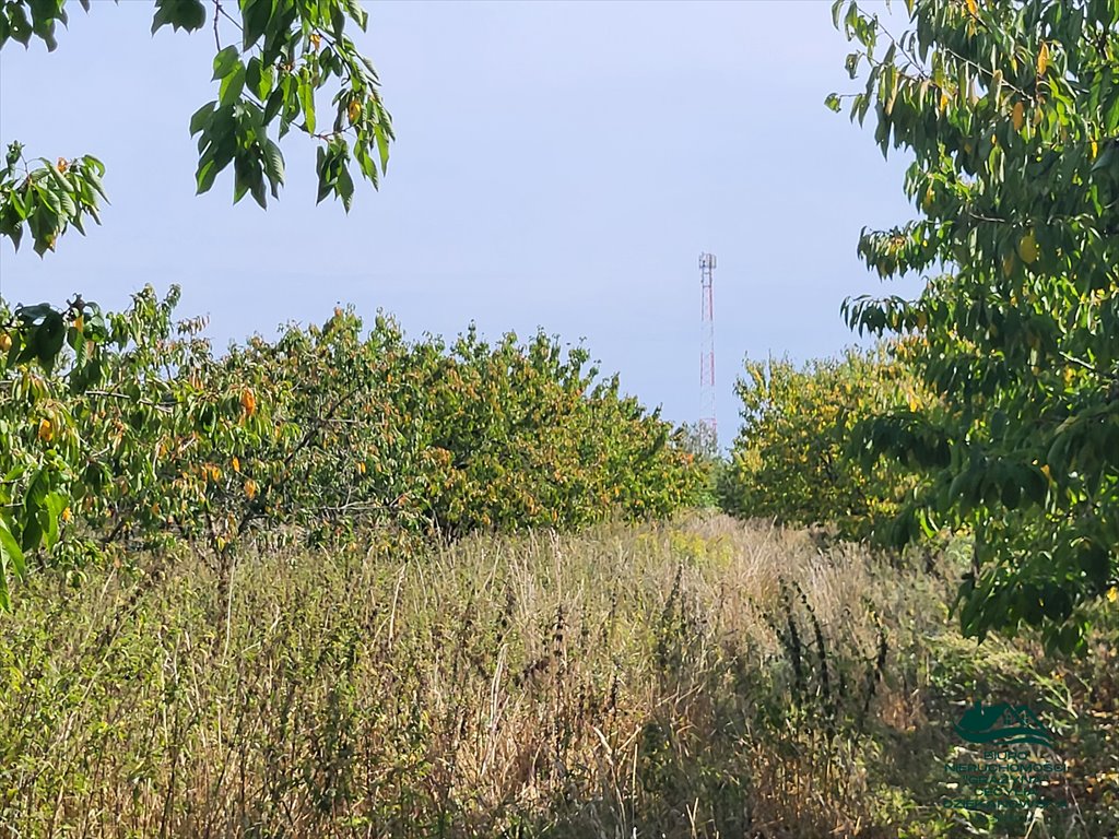 Działka rolna na sprzedaż Nieszawa  6 616m2 Foto 7