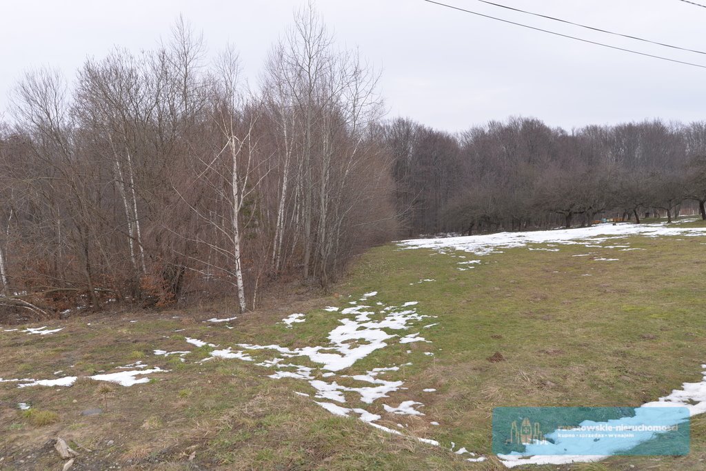 Działka budowlana na sprzedaż Hermanowa  8 000m2 Foto 3