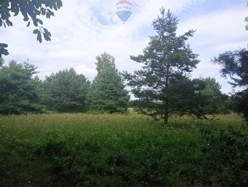 Działka leśna na sprzedaż Ruda  17 407m2 Foto 2