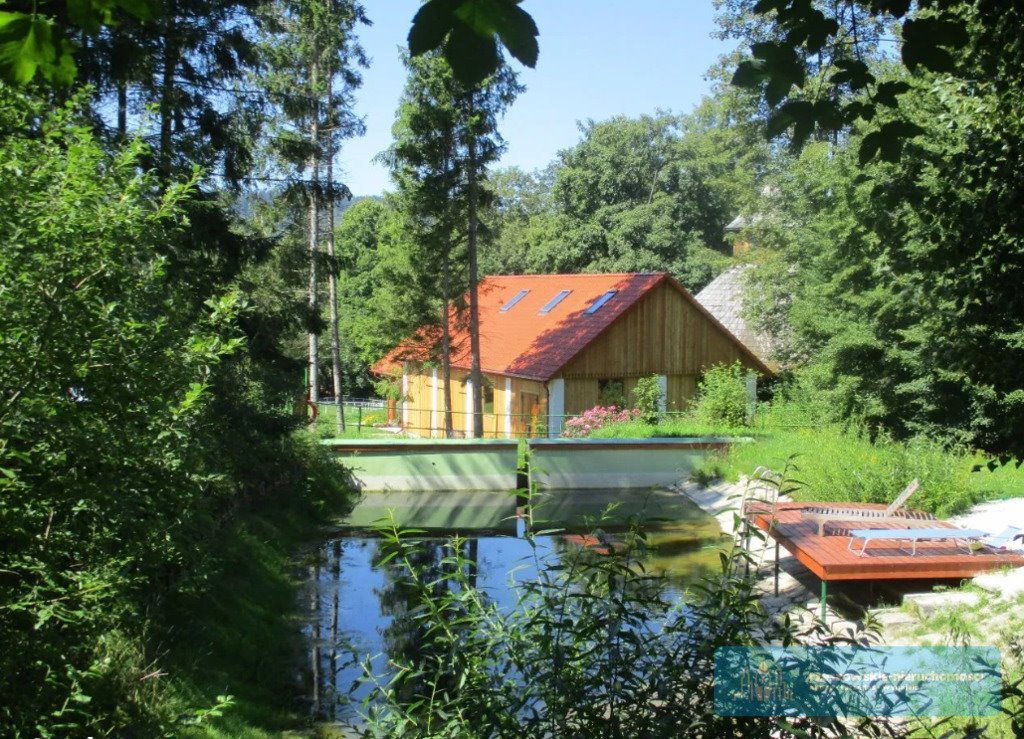 Lokal użytkowy na sprzedaż Ustrzyki Dolne  870m2 Foto 5