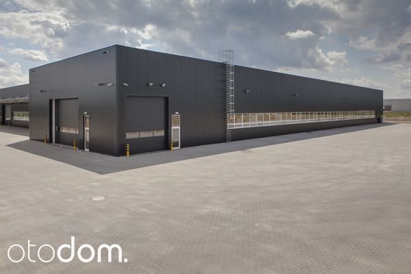 Lokal użytkowy na wynajem Błonie 1 128m2 Foto 1 Lokal użytkowy na wynajem Błonie 1 128m2 Foto 1