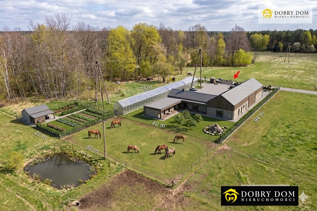 Działka 4933 m² z domem, stawem i możliwością upraw w Pasynkach Pasynki  4 933m2 Foto 1