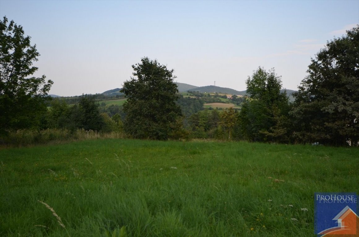 Działka 3542 m² z możliwością zabudowy i przyłącza wodociągowego Janowice  3 542m2 Foto 1