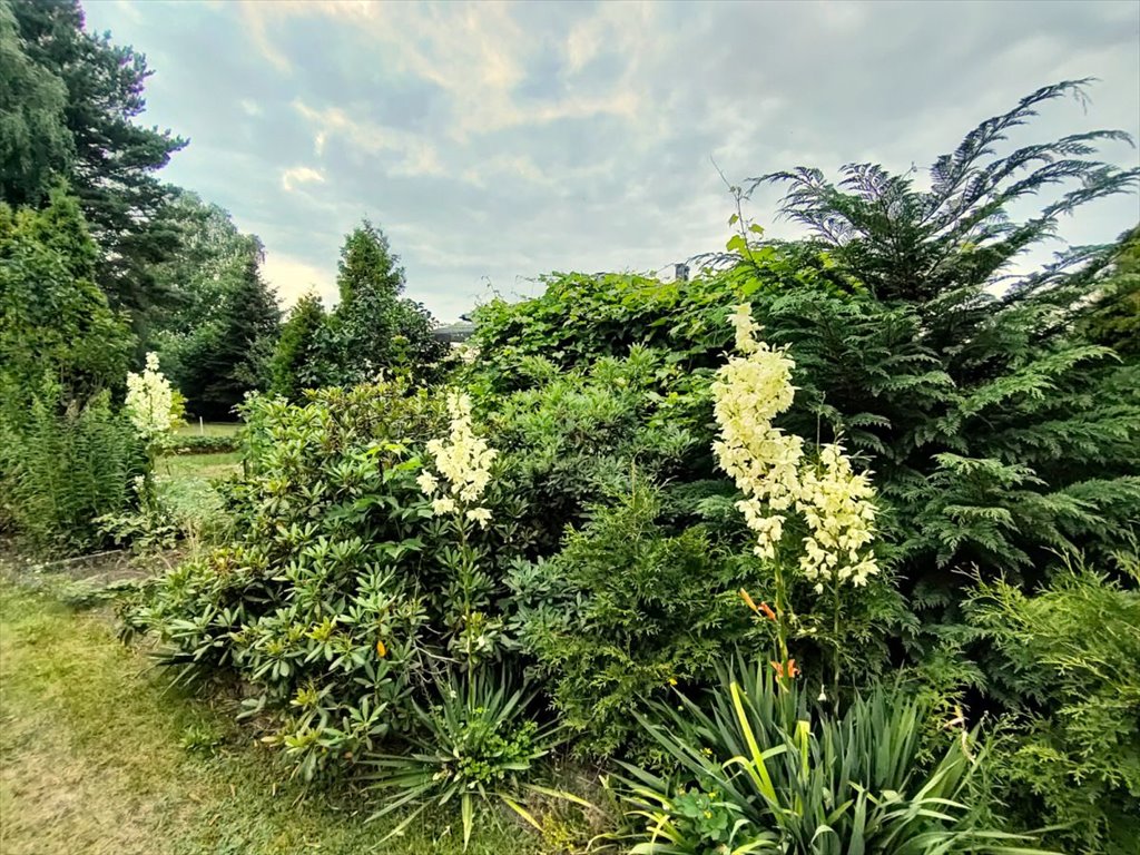 Działka rekreacyjna na sprzedaż Łódź, Górna, Wazów  350m2 Foto 1