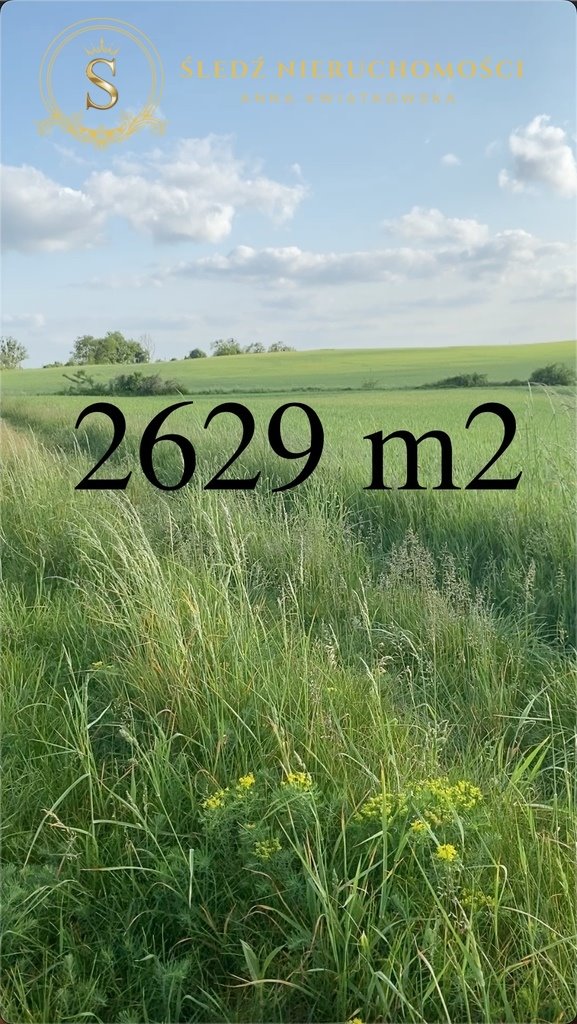 Działka rolna na sprzedaż Wołów  2 629m2 Foto 1
