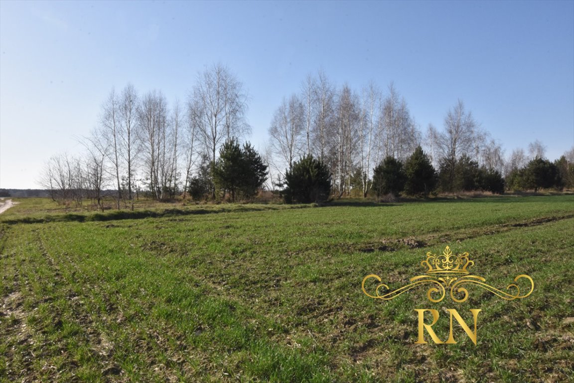 Działka przemysłowo-handlowa na sprzedaż Kunów  1 000m2 Foto 3