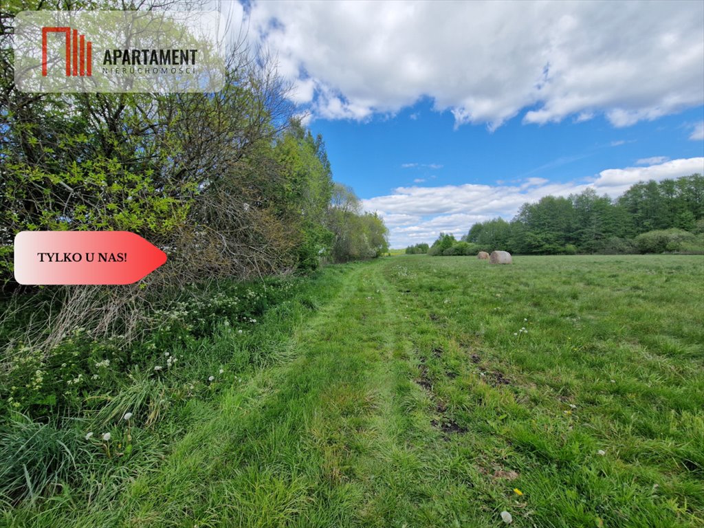 Działka 0,83 ha z lasem i torfem w Dąbrówce Dąbrówka  8 300m2 Foto 1