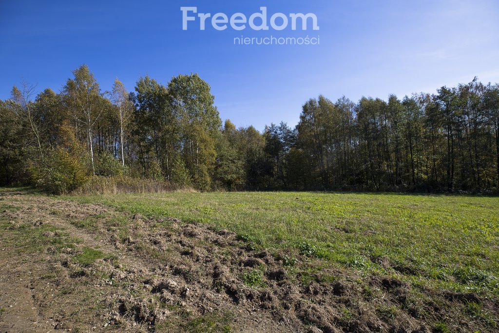 Działka budowlana na sprzedaż Hadle Kańczuckie  2 405m2 Foto 11