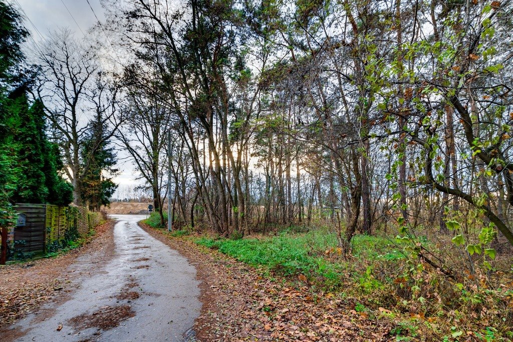 Działka budowlana na sprzedaż Dębina, Warszawska  2 066m2 Foto 16