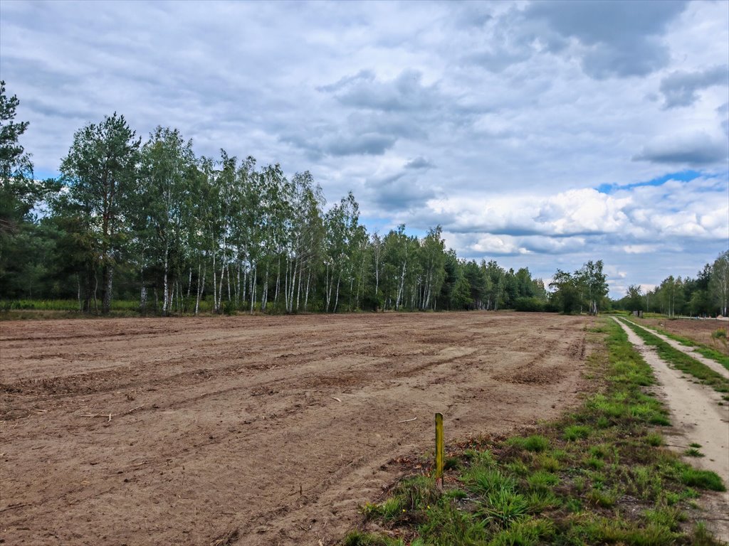Zapraszam do zakupu działki 1253 m² w Dziekanowie Polski: Dziekanów Polski